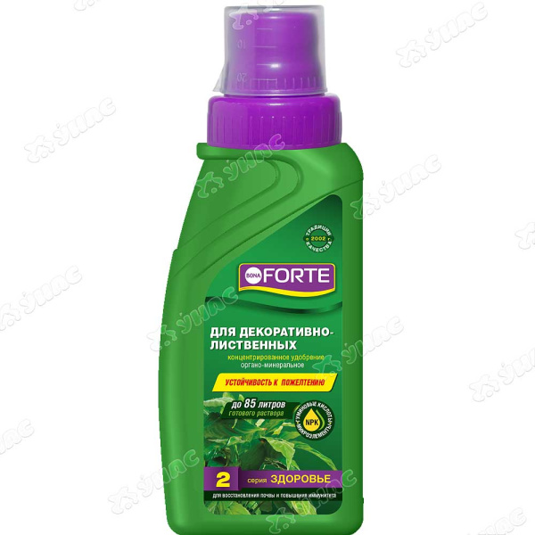 Бона Форте 285мл ЗДОРОВЬЕ Для декоративно-лиственных (BF21060101) х20 