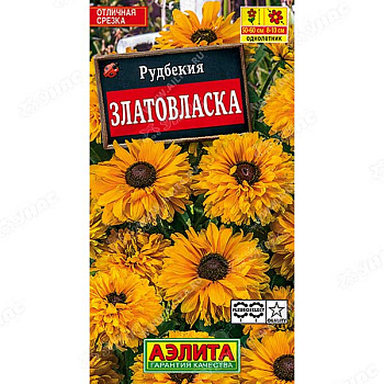 Рудбекия Златовласка Аэлита Ц 