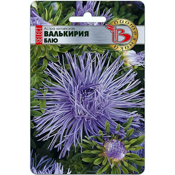 Астра Валькирия SELECT Виолет Блю Биотехника Ц 