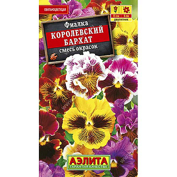 Виола Королевский бархат Аэлита Ц 