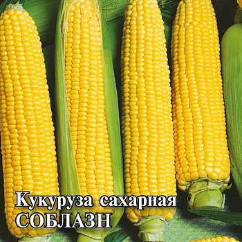 Кукуруза Соблазн Сахарная 50 Гавриш Ц
