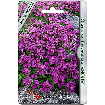 Обриетта Виолет Биотехника Ц 