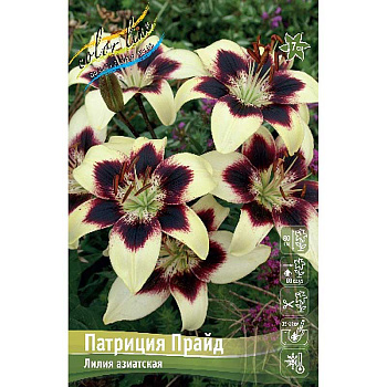 Лилия Патриция Прайд 12/14 5 шт 