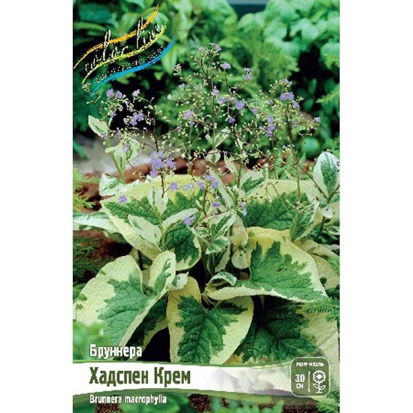 Бруннера Хадспен Крем I 1 шт