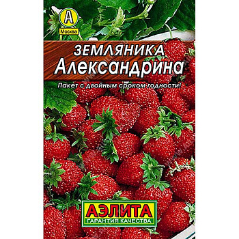 Земляника Александрина Аэлита Ц Земляника Александрина Аэлита Ц