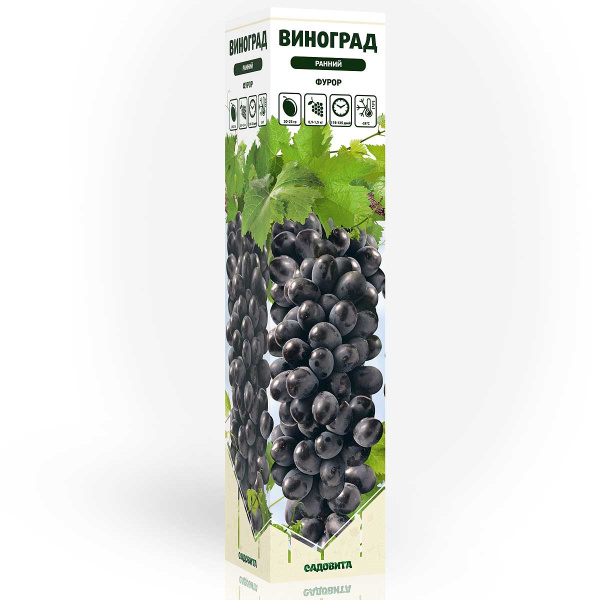Виноград Фурор ранний Садовита