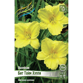 Лилейник Биг Тайм Хэппи I 25 шт Биг-пак 8449