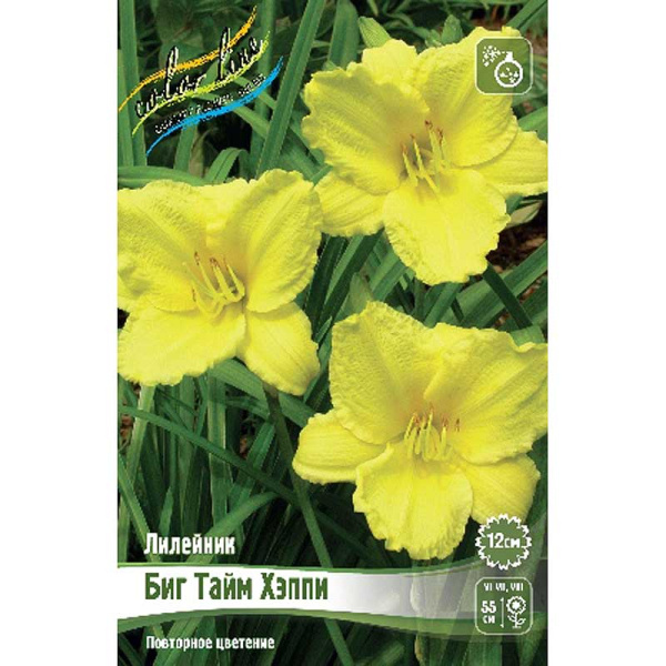 Лилейник Биг Тайм Хэппи I 25 шт Биг-пак 8449
