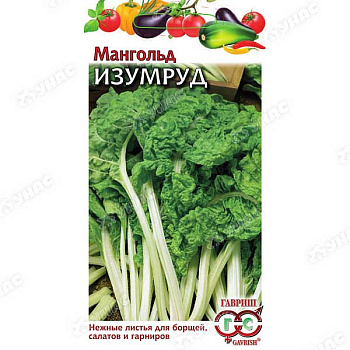Мангольд Изумруд Гавриш Ц