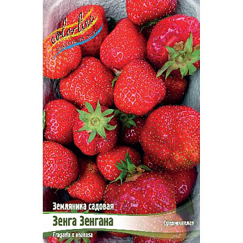 Земляника Садовая Зенга Зенгана A 5 шт