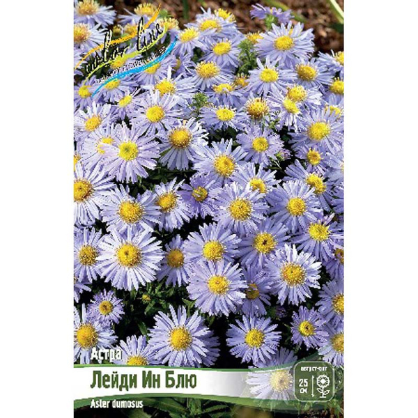 8300 Биг-Пак Астра Лейди Ин Блю I 25 шт