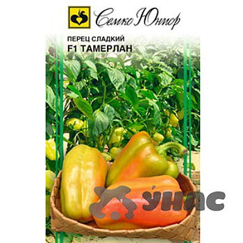 Перец Тамерлан Семко Ц