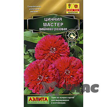 Циния Мастер вишнево-роз Аэлита Ц х10 