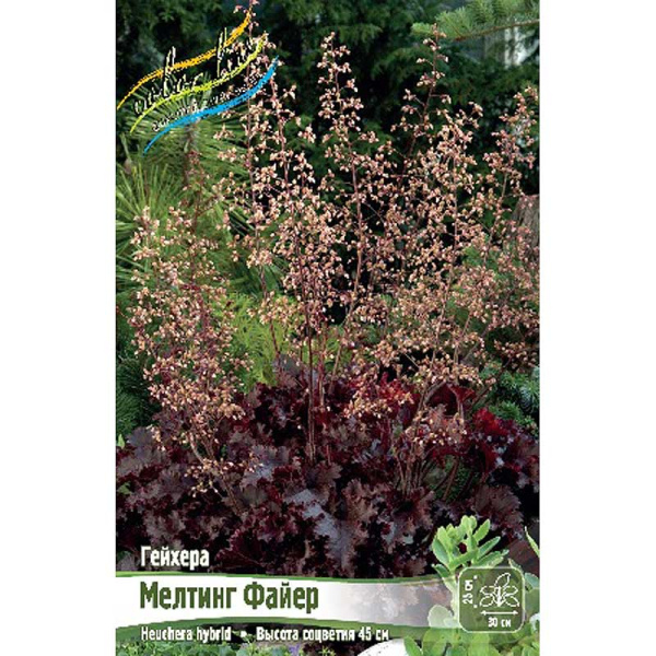 Гейхера Мелтинг Файер I 25 шт Биг-пак 4479