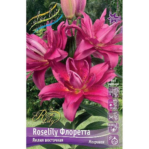 Лилия Roselily Флоретта 12/14 5 шт 