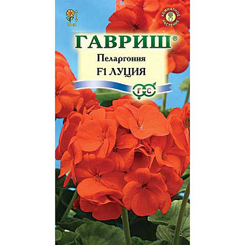 КОМ Пеларгония Луция Гавриш Ц 