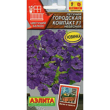 Петуния Городская компакт небесная Аэлита 