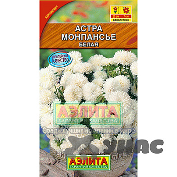 Астра Монпансье белая Аэлита Ц 