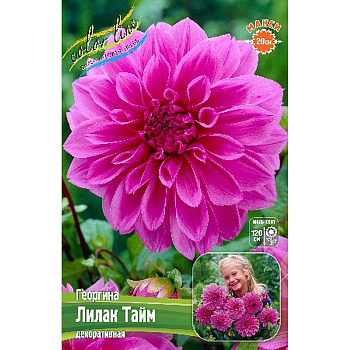 Георгина Лилак Тайм I 1 шт 
