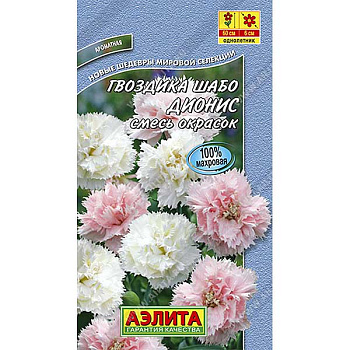 Гвоздика Шабо Дионис  Аэлита Ц 