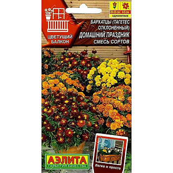 Бархатцы Домашний праздник Аэлита Ц 