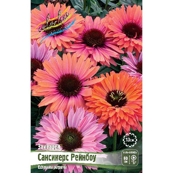 Эхинацея Сансикерс Рейнбоу I 1 шт 