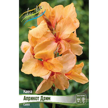 Канна (Зелен) Априкот Дрим I 15 шт Шоу-бокс 8670