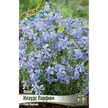 8041 Биг-Пак Флокс Клаудс Парфюм I 25 шт