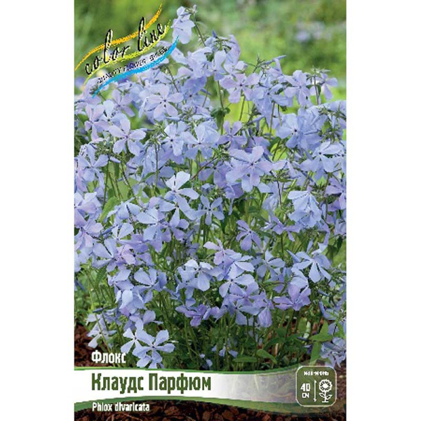 8041 Биг-Пак Флокс Клаудс Парфюм I 25 шт