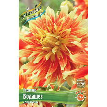Георгина Бодашез I 15 шт Шоу-бокс 8894