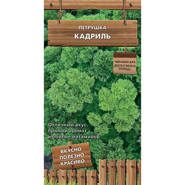Петрушка Кадриль Поиск Ц