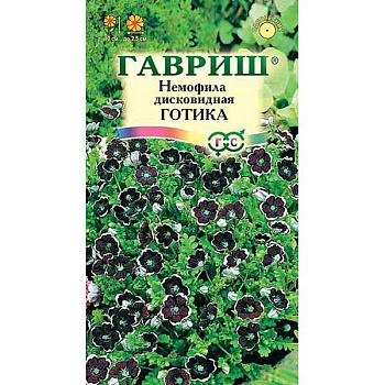 Немофила Готика дисковидная Гавриш Ц 
