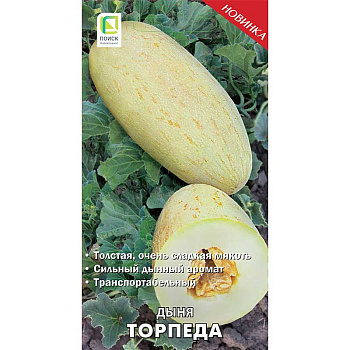 Дыня Торпеда Поиск Ц