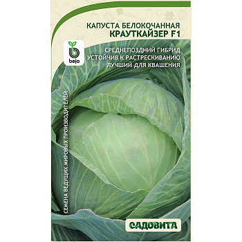 Капуста Крауткайзер белокочанная F1 10 шт Bejo/Садовита Ц