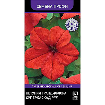 Петуния Суперкаскад Ред Поиск Ц 