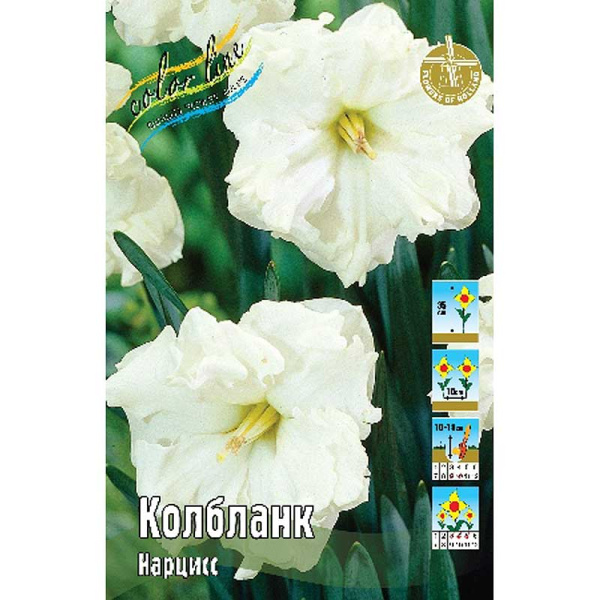 5272 Шоу-Бокс Нарцисс Колбланк 12/14 50 шт 