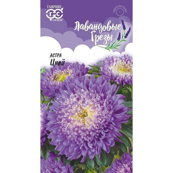 Астра Иней Гавриш Ц 