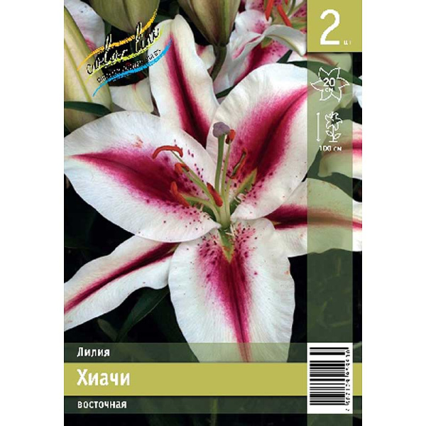 Лилия Хиачи 12/14 2 Эконом шт 