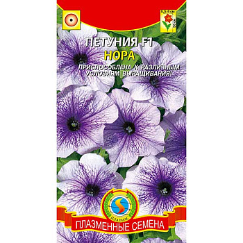 Петуния Нора Плазма Ц 