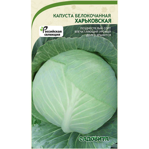 Капуста Харьковская зимняя белокочанная 0,5 гр Садовита Ц