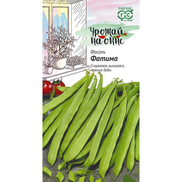 Фасоль Фатима Урожай на окне Гавриш Ц