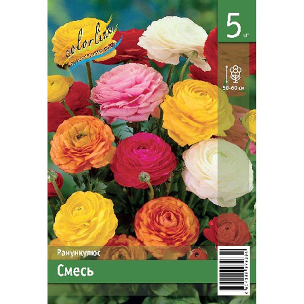 Ранункулюс Смесь 6/7 5 Эконом шт 
