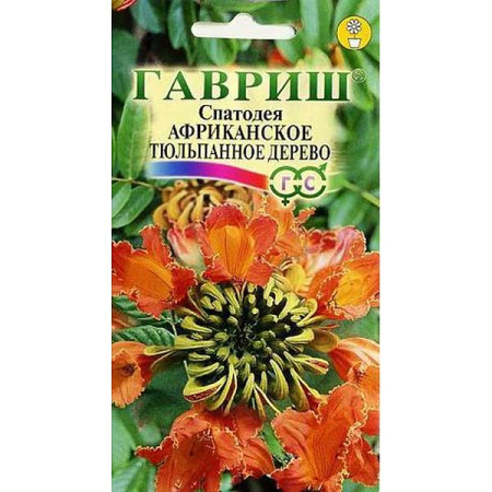 КОМ Спатодея Африканское тюльпанное дерево Гавриш Ц 