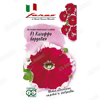 Петуния Калиффо бордовая Гавриш Ц 