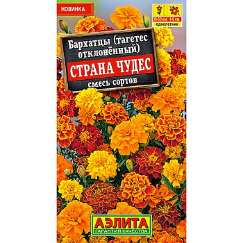 Бархатцы Страна чудес Аэлита Ц 