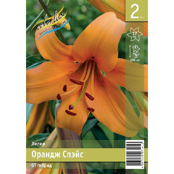 Лилия Орандж Спэйс 12/14 2 Эконом шт