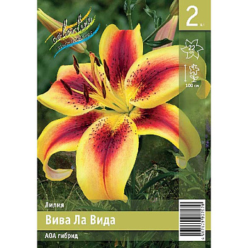 Лилия Вива Ла Вида 12/14 2 Эконом шт 