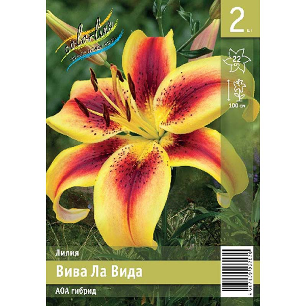 Лилия Вива Ла Вида 12/14 2 Эконом шт 