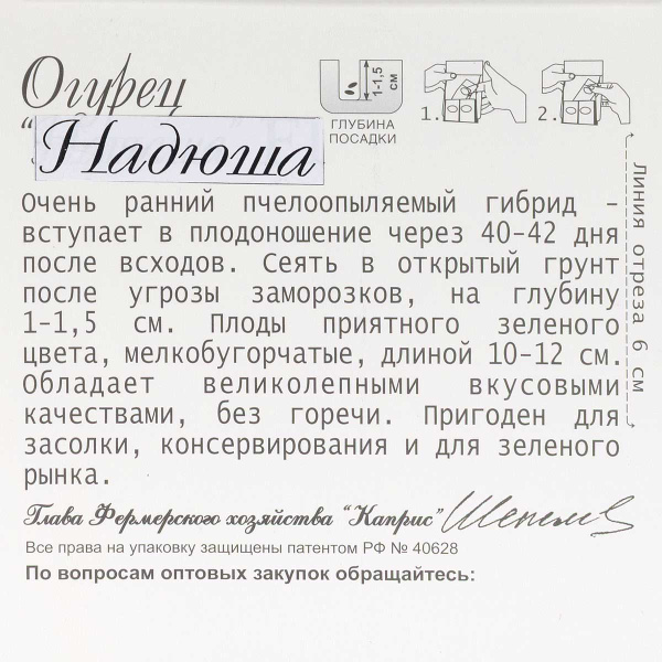 Огурец Надюша (Нидерланды) Каприс