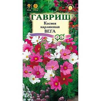 Космея Вега Гавриш Цх10 